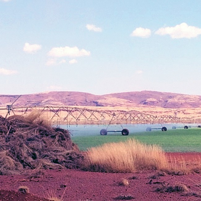 Nammuldi Agricultural Project