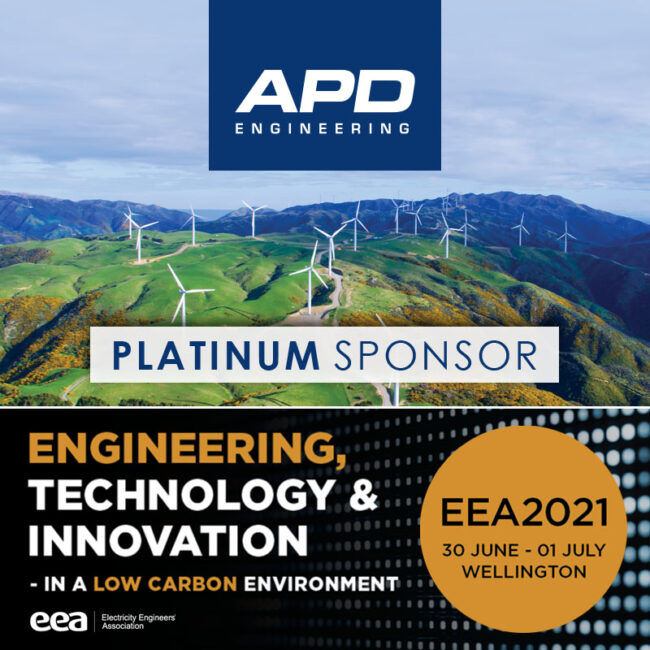 EEA2021 Conference Wellington June 800×800